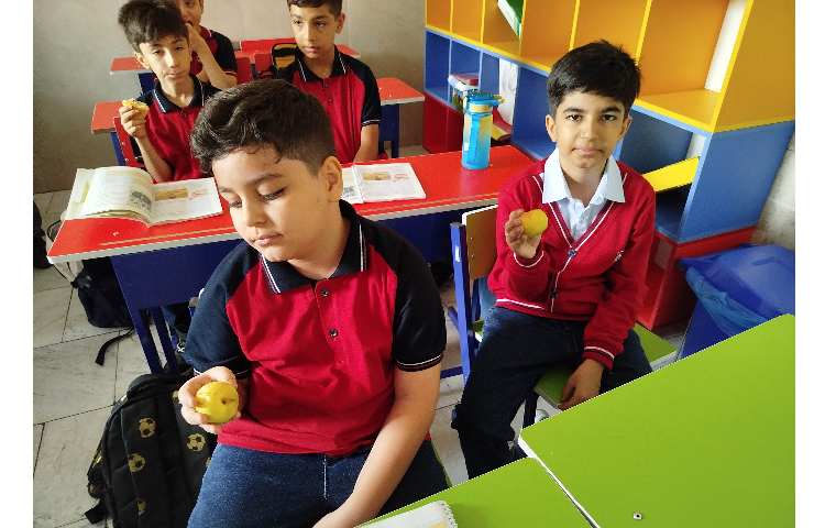 توزیع میانوعده میوه در آخرین روز هفته 5