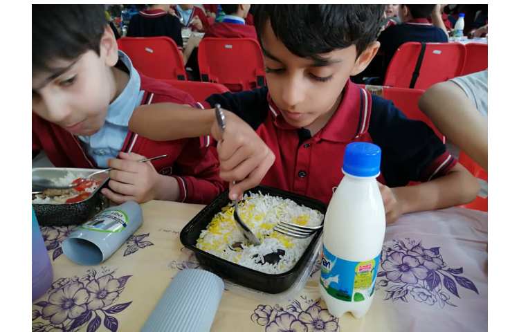 توزیع میانوعده و تاهار 11