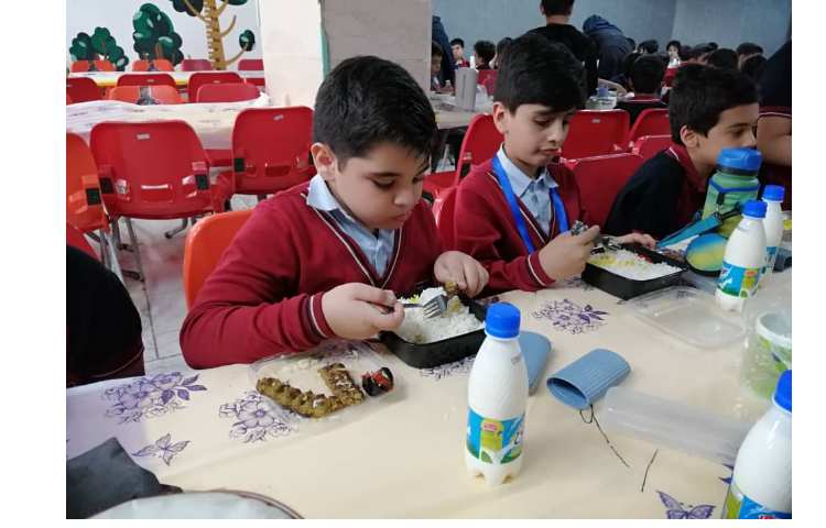 توزیع میانوعده و تاهار 8