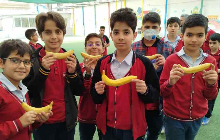 توزیع میانوعده 0