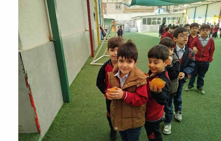 توزیع میانوعده 0