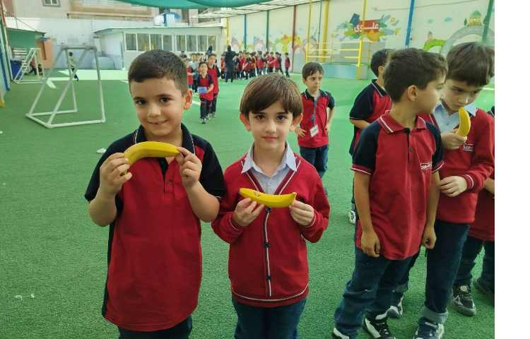 توزیع میانوعده 1