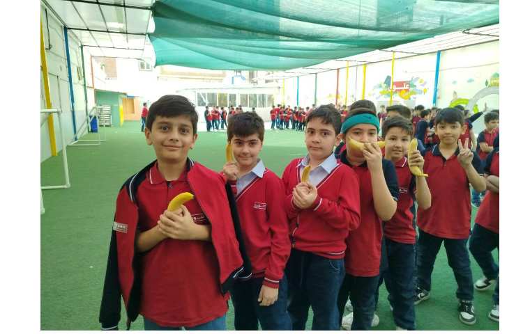 توزیع میانوعده 1