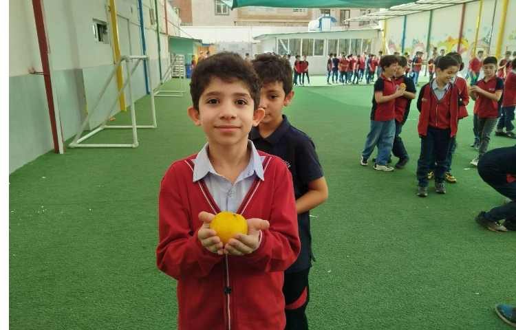 توزیع میانوعده 1