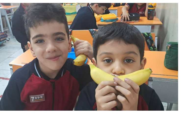 توزیع میانوعده 1