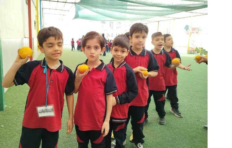 توزیع میانوعده 1