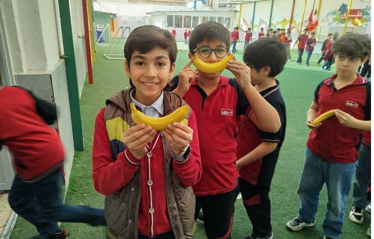 توزیع میانوعده 1