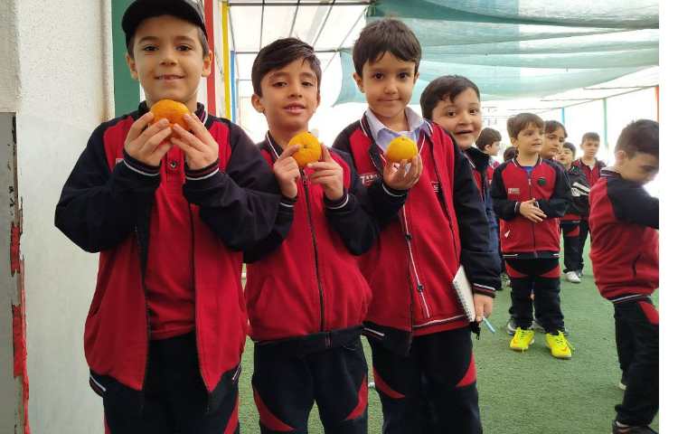 توزیع میانوعده 1