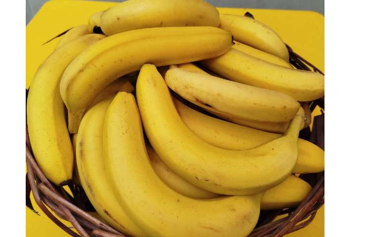 توزیع میانوعده 1