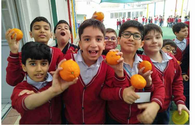 توزیع میانوعده 1