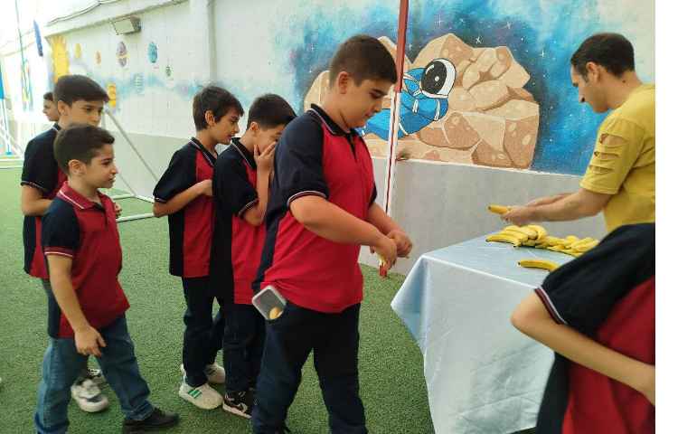 توزیع میانوعده 10