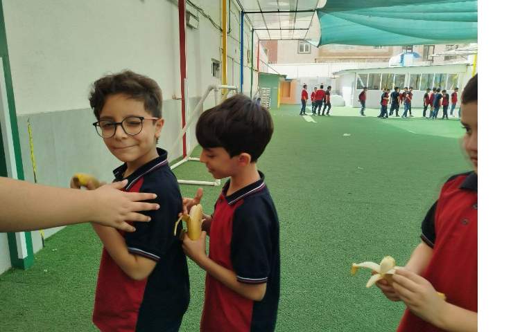 توزیع میانوعده 10