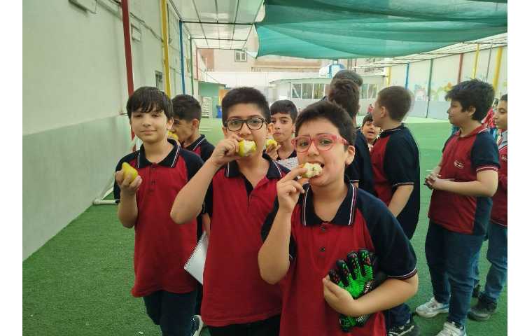 توزیع میانوعده 10