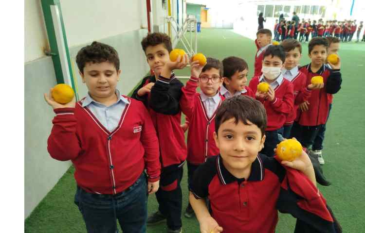 توزیع میانوعده 10