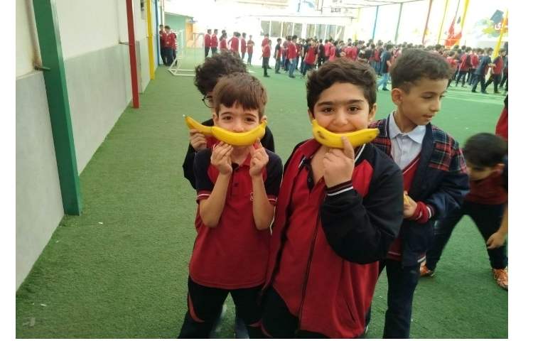 توزیع میانوعده 10