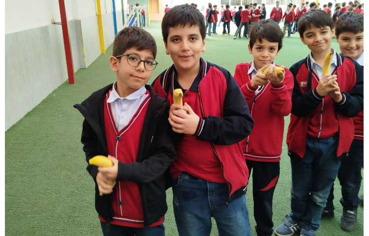 توزیع میانوعده 10