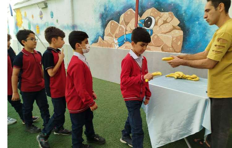 توزیع میانوعده 11