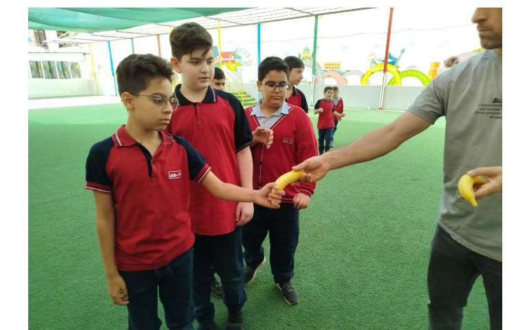 توزیع میانوعده 11