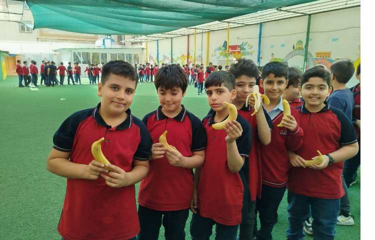 توزیع میانوعده 11