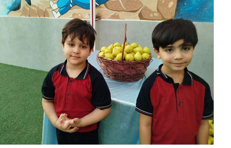 توزیع میانوعده 11