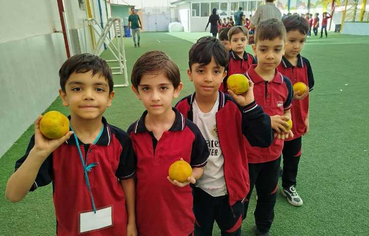 توزیع میانوعده 11