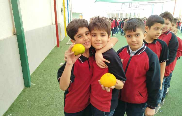 توزیع میانوعده 11