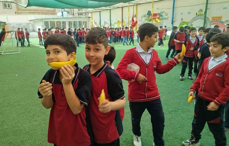 توزیع میانوعده 11