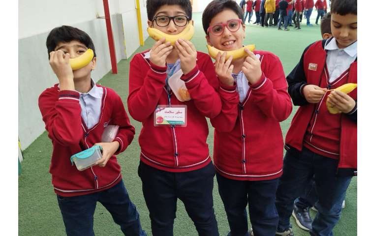 توزیع میانوعده 11