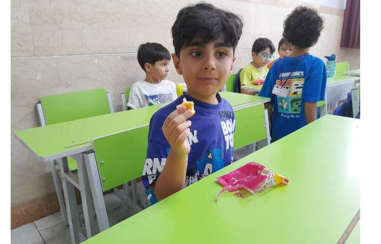 توزیع میانوعده 12