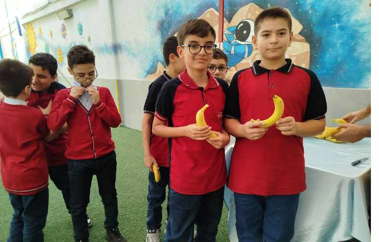 توزیع میانوعده 12