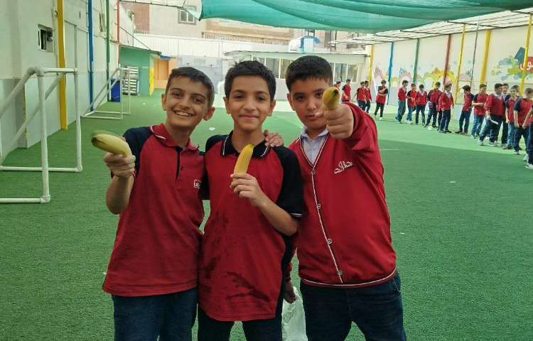 توزیع میانوعده 12