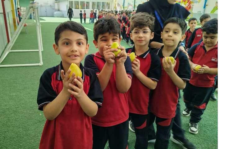 توزیع میانوعده 12