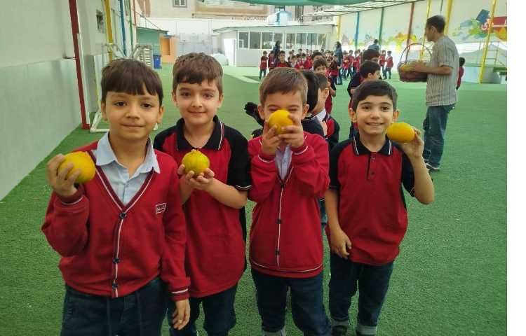 توزیع میانوعده 12