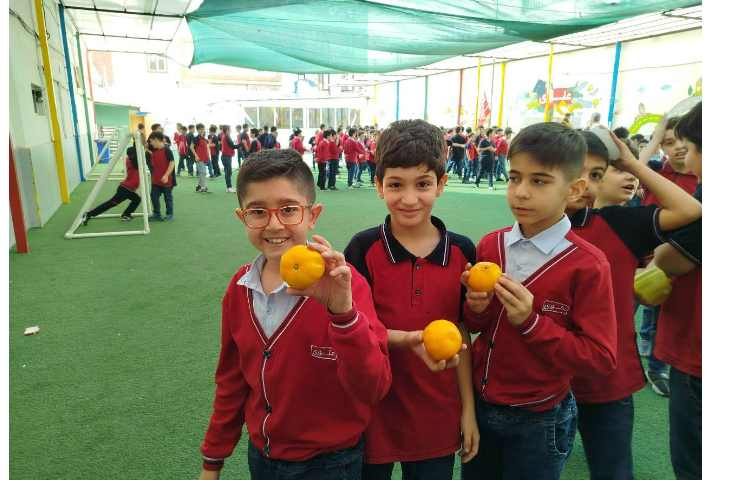 توزیع میانوعده 12