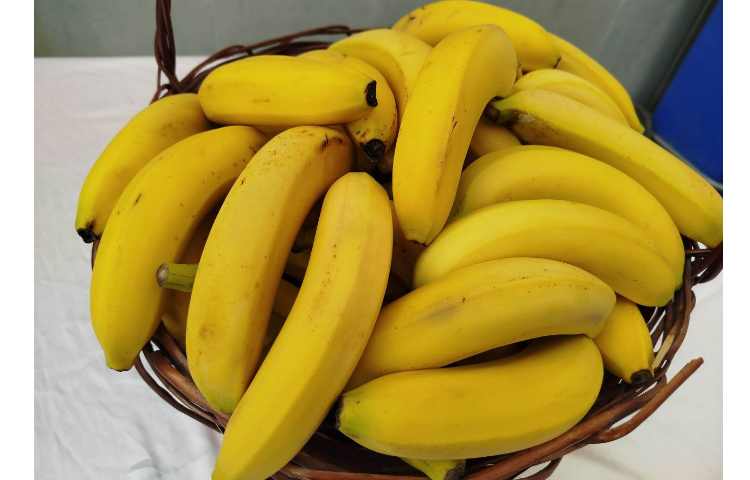 توزیع میانوعده 12