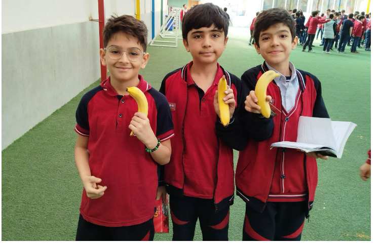 توزیع میانوعده 12