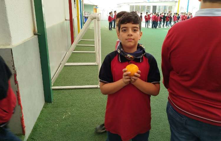 توزیع میانوعده 12