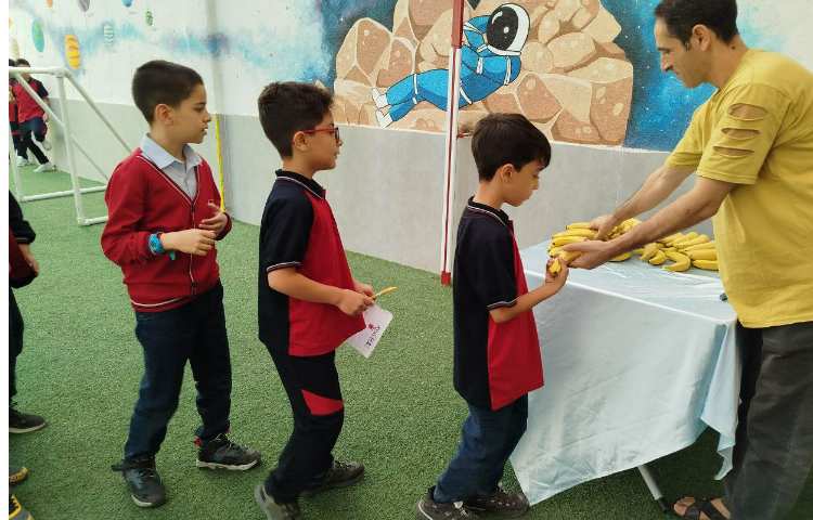 توزیع میانوعده 13