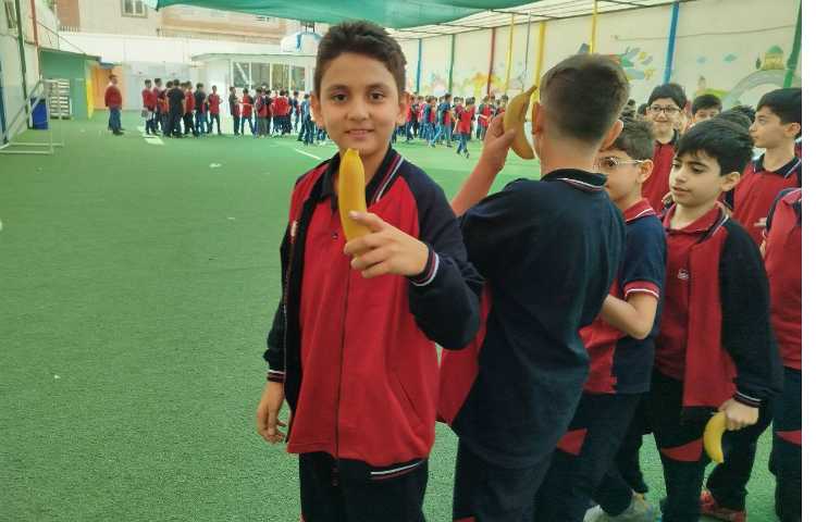 توزیع میانوعده 13