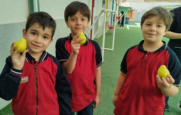 توزیع میانوعده 13