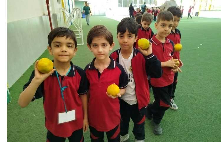 توزیع میانوعده 13