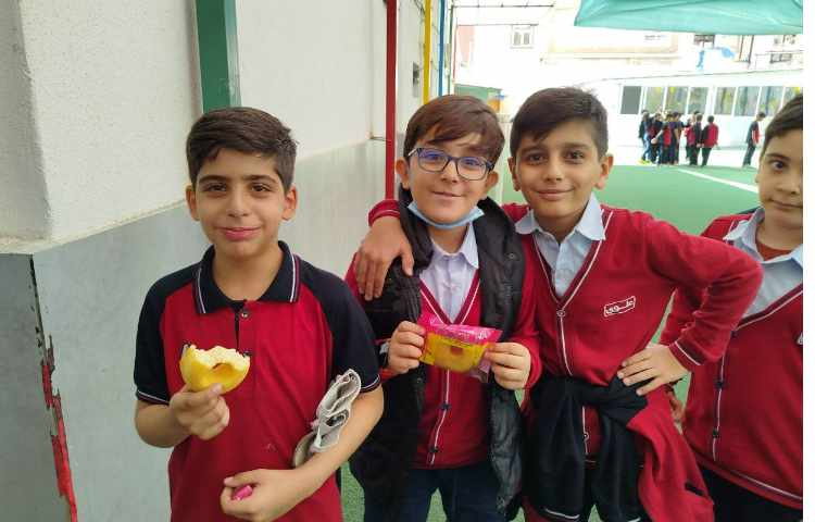 توزیع میانوعده 13