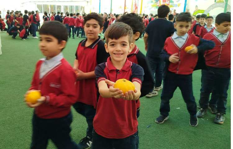 توزیع میانوعده 13