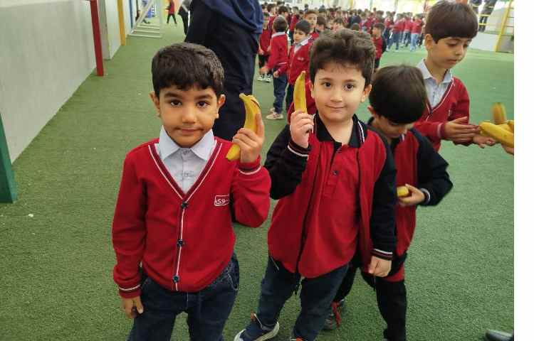 توزیع میانوعده 13