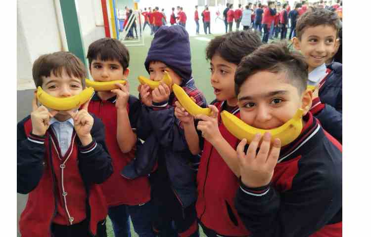 توزیع میانوعده 13