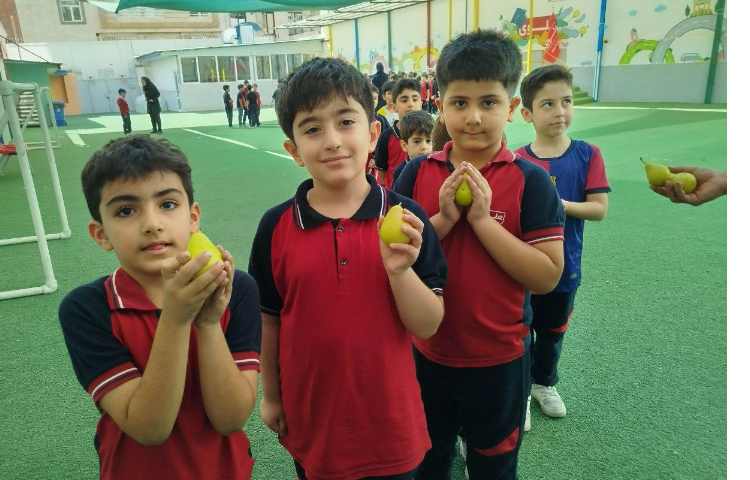 توزیع میانوعده 14