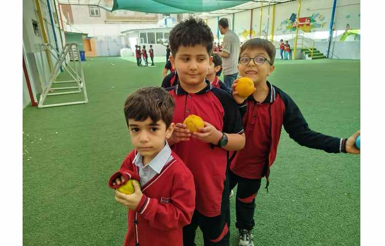 توزیع میانوعده 14