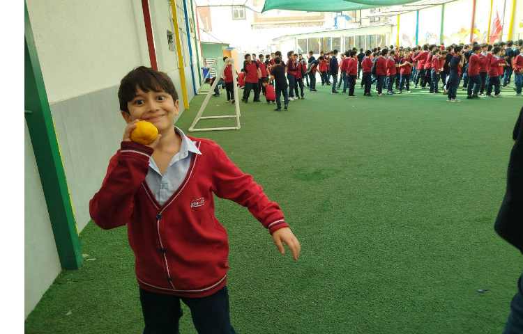 توزیع میانوعده 14