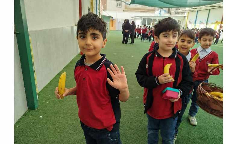 توزیع میانوعده 14