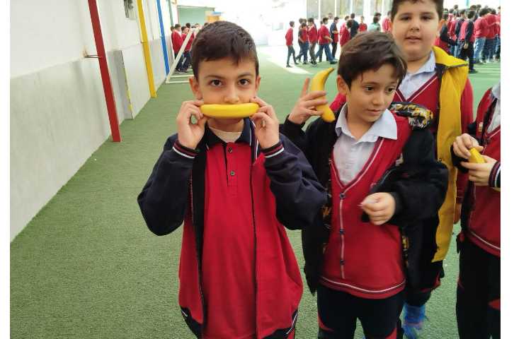 توزیع میانوعده 14